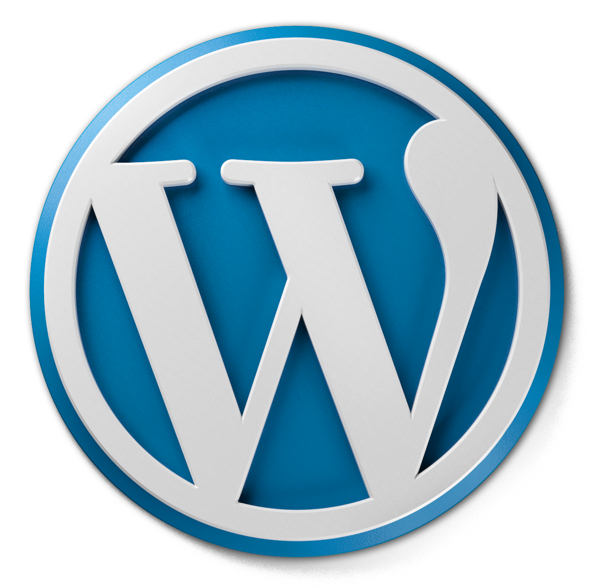 logo cds wordpress